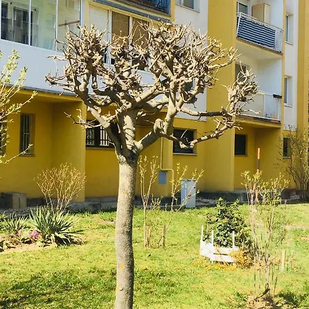 Hidden Gem Apartment Kosice